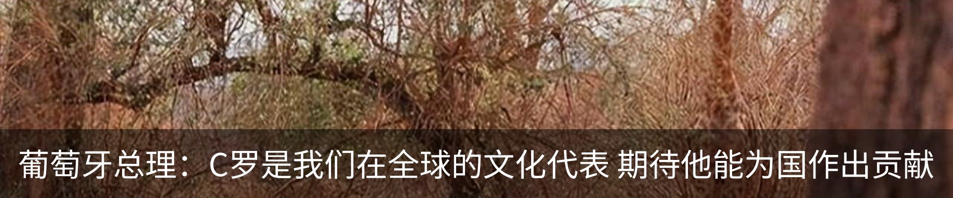 新闻中心